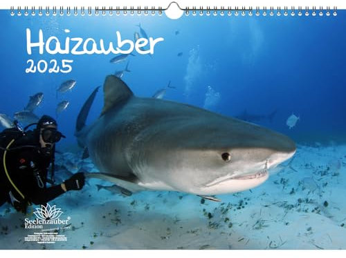 Haizauber DIN A3 Kalender für 2025 Hai - Seelenzauber