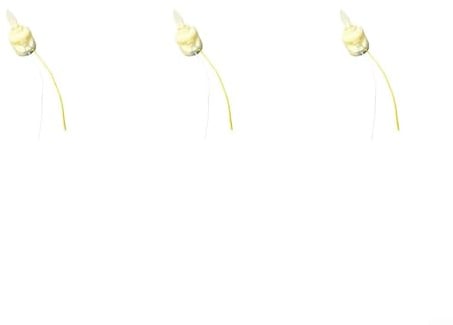 Realistische LED-Kerze mit flammenähnlichem Schwingeffekt für dekorative Beleuchtung in Wohnungen, Hochzeiten und Veranstaltungen (3 Stück)