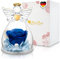 YourRoses ® Echte Premium Rose in Einer Engelfigur aus Glas und Einer wunderschoenen Geschenkbox (Dunkelblau) Liebsten und Familie