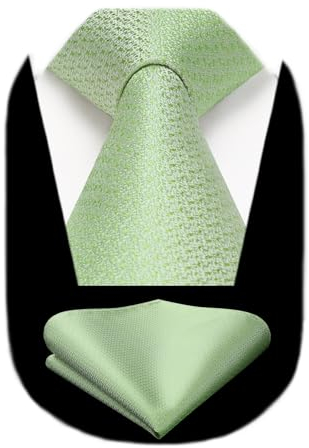 HISDERN Krawatten für Herren Salbeigrün Formale Hochzeit Schlips Elegant Business Krawatte mit Einstecktuch Set Klassisch Party