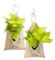 Goldleafking 2 Pack small Natural Bamboo Woven Basket Weave Hanging Planters | Plant Hangers Outdoor - indoor plants Baskets Pots Hanger for and wall planter décor
