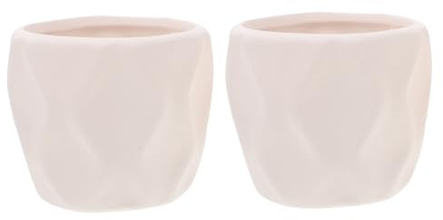BESPORTBLE 2pcs Flower Pot Holder Hand-painted Ceramic Planter Diy Coloring Flower Pot for Bedroom