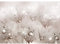 Runa Art Fototapete Blumen Pusteblume 352 x 250 cm Vlies Tapeten XXL Moderne Wandtapete Wohnzimmer Schlafzimmer Braun 9432011c