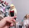 KUSO Papageienwindel Wiederverwendbare Waschbare Windeln Fluganzug Kleid Kimono Kleidung für Vögel Wellensittich Sittich Nymphensittiche Conure Kakadu afrikanischer Aras (XXL, Schwarz)