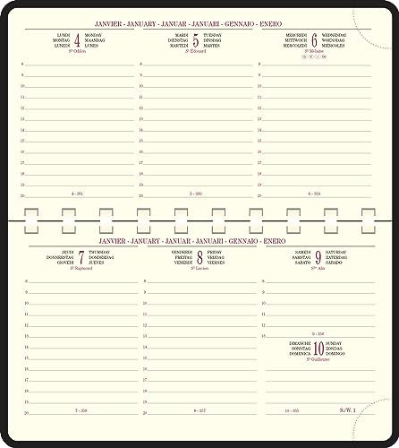 Exacompta - 164822E – Nachfüllpack Taschenkalender Temporel 16S Spiralbindung – 9 x 16 cm – Wochenkalender Januar bis Dezember 2026