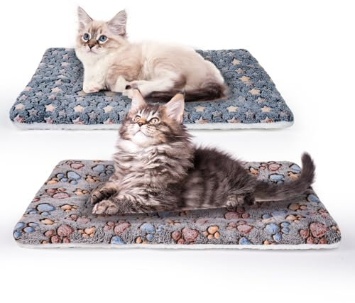 MICOOYO Hundebox Bett Matratze - Fleece Haustier Kissen Bett Matte, Waschbar Katzenkissen Pad für kleine Hunde Katze Welpen (61 * 41cm)