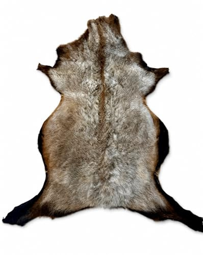 FellHaus Kamerun Schaffell Echtfell Naturfell Teppich Grau 50 cm | Kurzer fester Haarwuchs mit kompakter Oberfläche und natürlicher Zeichnung