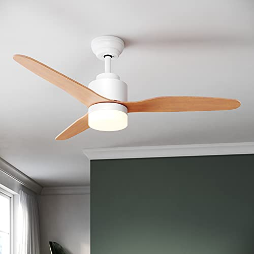SUNXURY Deckenventilator mit Beleuchtung 18W Farbe Dimmbar Deckenventilatoren mit Fernbedienung Outdoor 119 cm 3 Leistungsstufen Mordern Deckenventilator Intelligente Zeiteinstellung