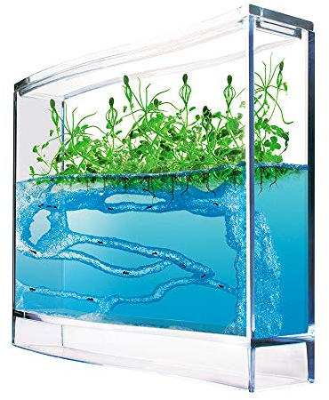 Monsterzeug Gel Ökosystem für Ameisenfarm, Terrarium, Antquarium, Super Forest Ant, Mit Pflanzensamen und Lupe