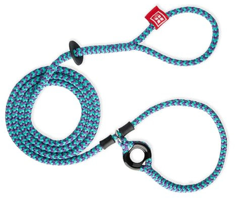 Harness Dog Harness and Leash Set, Anti Pull, One-Piece Cushioned Rope, Small/Medium, Purple/Turquoise