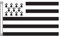 Stormflag Drapeau Bretagne 60x90cm Drapeau Breton 2x3ft Polyester 90g avec œillets et Double couture