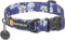 Ruffwear Front Range großes Hundehalsband, bequem und stabil mit seitlicher Schnalle und Gurtband zum Gassigehen mit dem Hund, Größe L (51–66 cm), Wildblume
