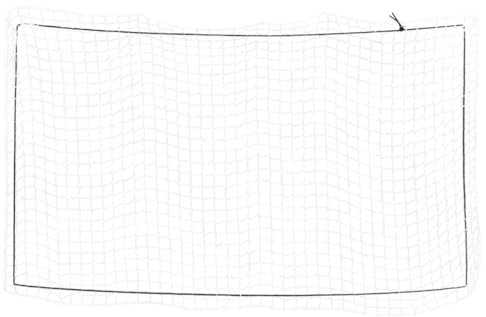 vidaXL Anhängernetz, Hängernetz mit Gummiseil, Abdecknetz für Anhänger, Transportnetz Ladungssicherungsnetz Gepäcknetz, Weiß 2,7x1,5m PP