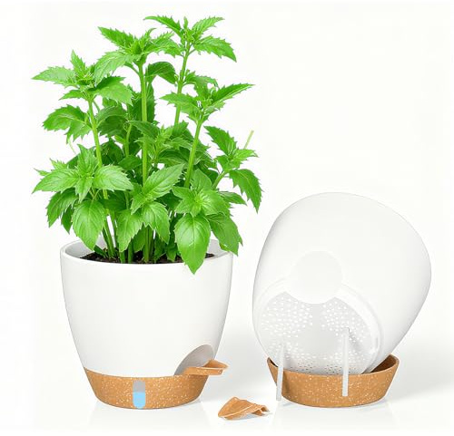 SenaiMy Lot de 2 Petits Pots de Fleurs Blancs 20 cm, Auto-arrosants avec jauge de Niveau d'eau et lèvre d'arrosage. Pots en Plastique pour Jardin, Bureau, Rebord de fenêtre, intérieur et extérieur.