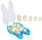Zahnkrone, 50Pcs/Box Dental Temporäre Krone für vordere Zähne, Temporäre Zahnkronen für Porzellanzähne,Zahnkrone Mit Verschiedenen Größen Mundpflege Frontzahnkrone (Vordere Zähne)