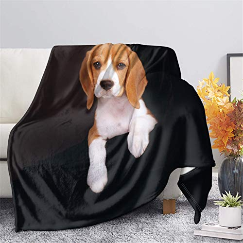 Showudesigns Überwurfdecke mit Hundemotiv, 68,6 x 101,6 cm, dekorative Decke für Couch, Bett, Sofa, Reisedecke, Bettwäsche, Beagle, Schwarz