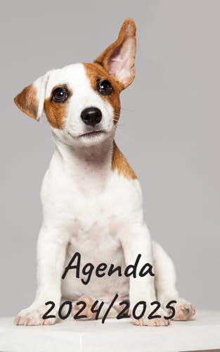 AGENDA 2024/2025: Planificateur scolaire journalier | Emploi du temps | Calendrier | Une page par jour