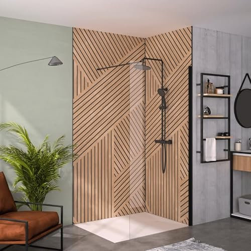 Paroi de douche transparent KINEDO Solo 6+ 80cm profilé Noir mat