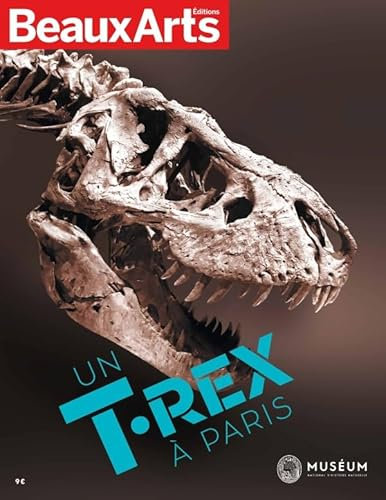 un t. rex à paris: AU MUSÉUM NATIONAL D HISTOIRE NATURELLE - GALERIE DE MINÉRALOGIE
