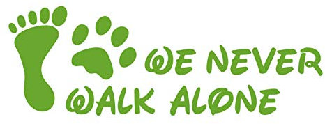 kleb-Drauf / 1 We Never Walk Alone/Hellgrün - glänzend/Autoaufkleber Autosticker Decal Aufkleber Sticker/Auto Car Motorrad Fahrrad Roller Bike/Deko Tuning Stickerbomb Styling Wrapping