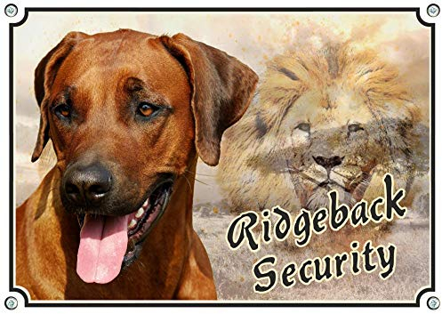Petsigns Hundeschild mit einem Rhodesian Ridgeback - uv-beständiges Warnschild, DIN A4