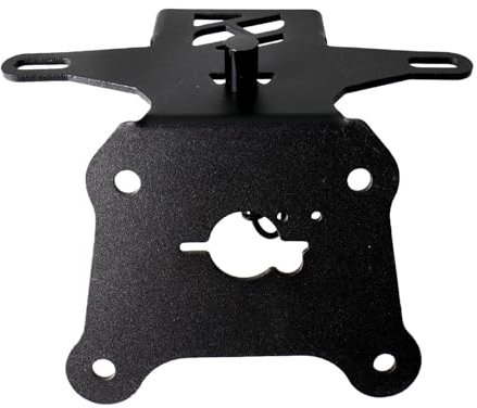 IBNA Kennzeichenhalter Für Z900 RS 2017 2018 2019