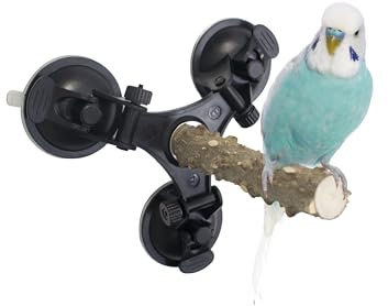Natur Sitzstangen für Vogelkäfige mit 3 Saugnapf Sitzstangen Vogelzubehör Ständer Spielzeug für Vögel Wellensittich Papagei Sittiche Nymphensittiche