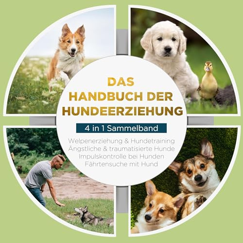 Das Handbuch der Hundeerziehung - 4 in 1 Sammelband: Impulskontrolle bei Hunden | Welpenerziehung & Hundetraining | Ängstliche & traumatisierte Hunde | Fährtensuche mit Hund