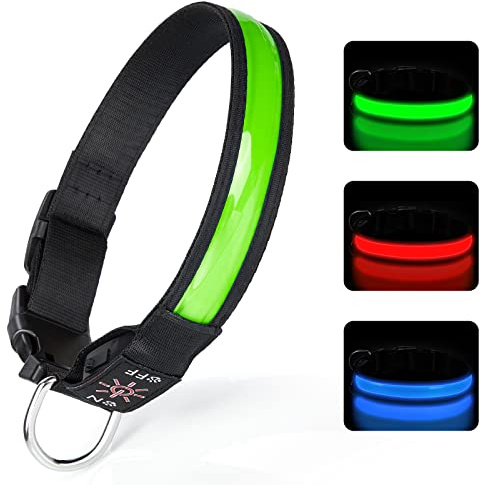TENXSNUG Leuchthalsband Hund USB Aufladbar, Einstellbares LED Hundehalsband Leuchtend mit 3 Leuchtmodi für Kleine, Mittlere und Große Hunde, die Nachts Sicher Spazieren Gehen - Grün - S