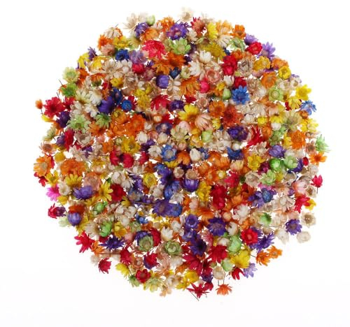yufana 280 Stück Getrocknete Blumen Blüten, Kleine Trockenblumen Hochzeit, DIY Gepresste Blumen, Zur Verwendung für Scrapbooking, Grußkarten, Bastelschmuck, Geschenkpapier, Anhänger