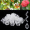 Xsybegdlk 100 Stück Plastic Plant Clip, 30 mm Mini Kunststoff Tomatenklammern, Kunststoff Tomatenklammern für Kletterpflanzen Halten Garten Pflanzen Blumen Gemüsefrucht(Weiß)