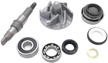 Ensemble pompe à eau pour Quad ATV BS200 200CC – Compatible avec les modèles Bashan BS200