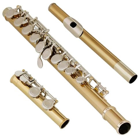 Flöjt Nybörjare Set 16 Löcher Schließen/offen Flöte C-Taste Flöte Cupronickel Goldene Silber Taste Konzert Querflöte Mit E-Taste Zubehör