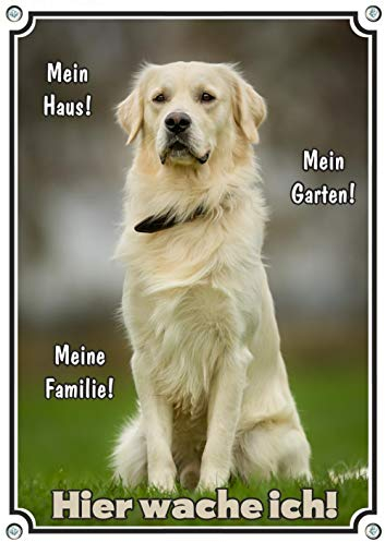 Exklusives Hundeschild Golden Retriever - Warnschild in Premiumqualität Metallschild, DIN A4