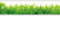 Llzzy Frais Herbe Verte Stickers Muraux PVC Étanche DIY Amovible Stickers Peintures Murales Salon Chambre Décoration