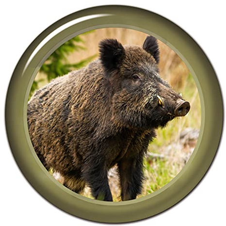 MACMRD Auto Aufkleber Persönlichkeits-Aufkleber Wildschwein Wasserdichter Autoaufkleber Auf Motorrad-Laptop-Dekorationszubehör