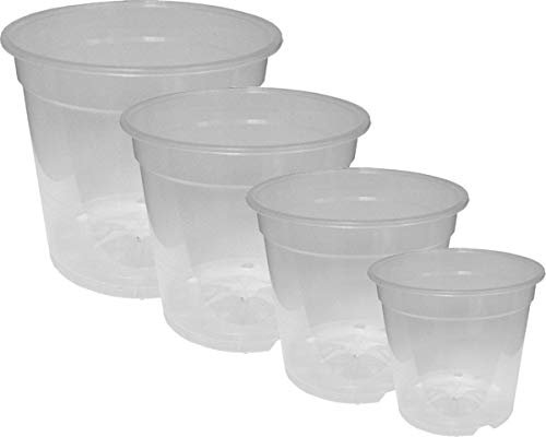 MePla Pot de fleurs Orchidée Transparent Ø 8 cm