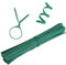200Pcs Garden Plant Ties Strips, 10cm Garden Twist Tie Green Plant Soft Ties Garden Ties for Climbing Plants Vines and Wrapping Cords
