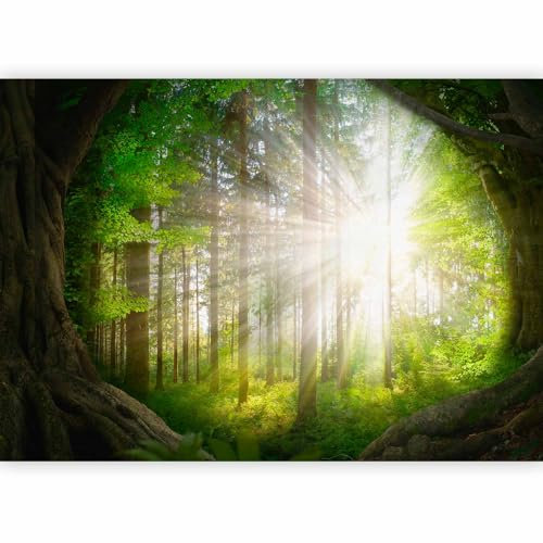 murando PREMIUM Papier peint Foret 350x256 cm Décoration Murale XXL Poster Tableaux Muraux Tapisserie Photo Trompe l'oeil Paysage Nature Rayon de soleil b-A-10119-a-a
