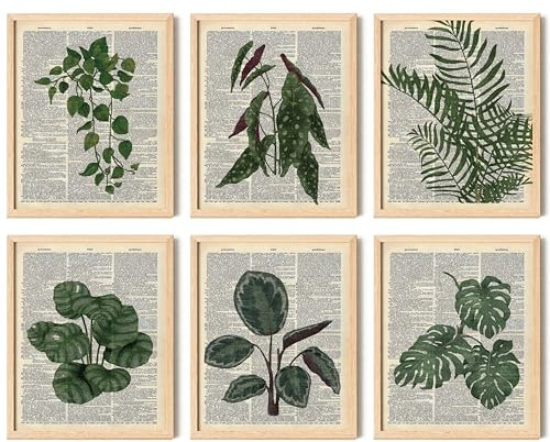97 Decor Stampe artistiche da parete verdi – Stampa artistica da parete con immagini di piante, stampe botaniche vintage, poster con piante per l'estetica della stanza, pagine di libri, dizionario,