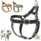 DOGISSIMI Hundegeschirr für kleine und mittlere Hunde, Verstellbares und ergonomisches Hundegeschirr aus echtem Leder, handgefertigt in Italien, Leder-Hundegeschirr (L, Schwarz)