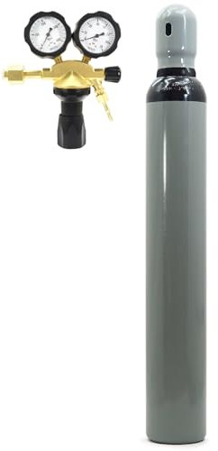 Bouteille d'azote 10 l avec réducteur de pression, bouteille de gaz azote Bestschweissen.de Klima Bouteille de 2,0 m³ avec réducteur de pression GCE 50 bar
