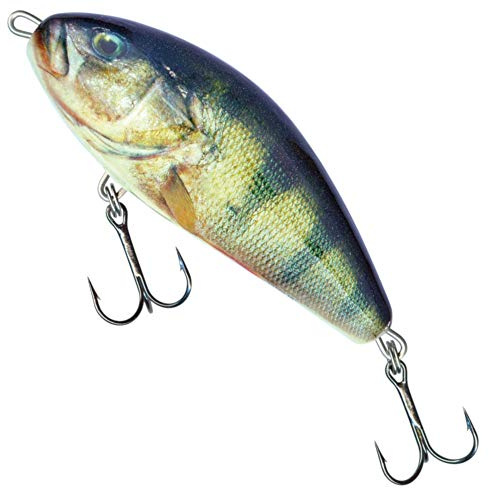 Salmo Fatso 10cm 48g RPH F