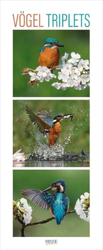 Vögel Triplets - Kalender 2025 - Hochformat - Korsch-Verlag - Fotokalender - Vertikal-Kalender mit Triplets - 28,5 cm x 69 cm