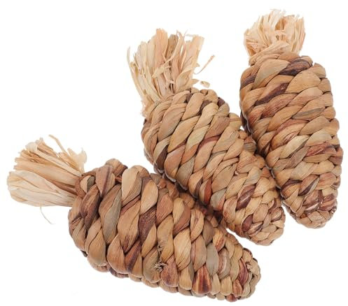 INOOMP 3stücke Kaninchenspielzeug Karotte Kauspielzeug Für Hamster Backenzahnspielzeug Haustierbedarf Kleine Tiere Spielen Zahnpflegespielzeug Naturmaterial Zubehör