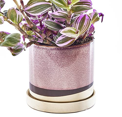 CHIVE Minute Ceramic Planter Pot Cute 5 Colorful Succulent Pots for Indoor & Outdoor House Plants Beautiful Modern Farmhouse Kitchen Decor Burgundy