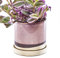 CHIVE �Minute� Ceramic Planter Pot � Cute 5� Colorful Succulent Pots for Indoor & Outdoor House Plants � Beautiful Modern Farmhouse Kitchen Decor � Burgundy