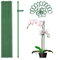 MEEYUU 20Pcs Plant Stakes Green Garden Single Stem Plant Support Stakes, Plant Support Sticks with Rings for Indoor and Outdoor Plants,Flowers,Tomatoes (40cm)