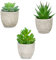 DAGORD 3pcs Succulentes Artificielles avec Pot Fausses Plantes Succulentes Interieur Plantes Artificielles Interieur Mini Plante Artificielle pour Bureau Balcon Salon Jardin Table