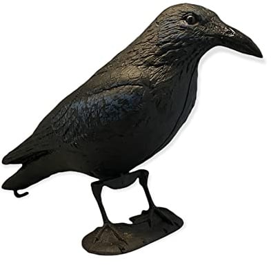 GMM Rabe Schwarz Riesen Realistisch, 43 cm, Taubenjagd, Gartenvogelscheuche, Taubenschreck, Taubenabwehr, Vogelabwehr für den Außenbereich (1)